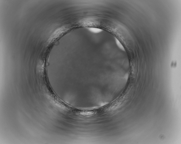 X0000093370357200711011233