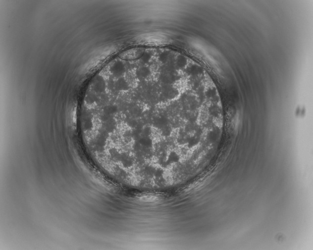 X0000093370358200711011233