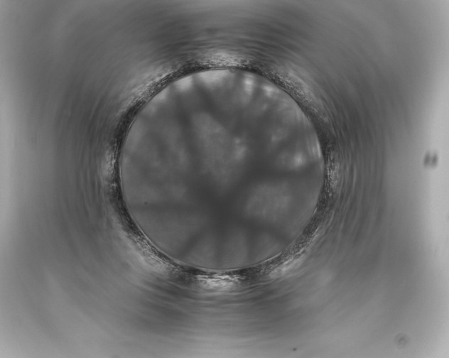 X0000093370359200711011233