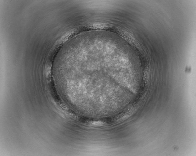 X0000093370360200711011233