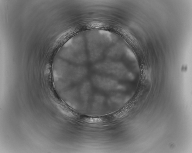 X0000093370361200711011233