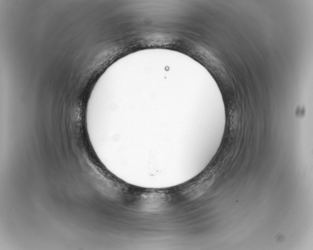 X0000093370362200711011233