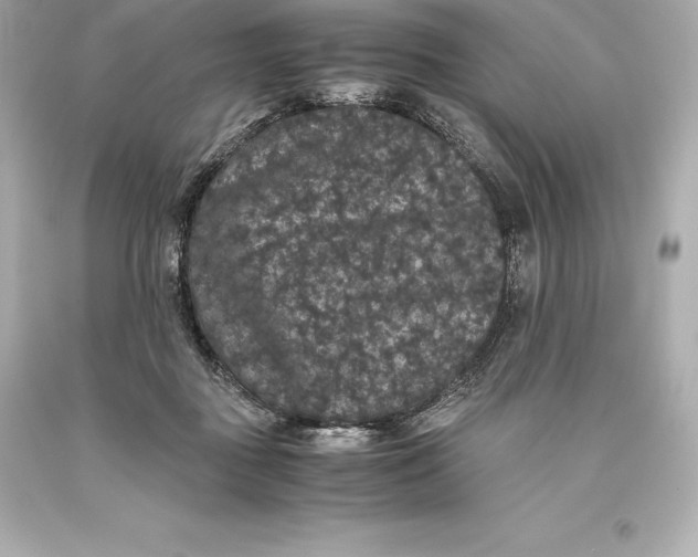 X0000093370363200711011233