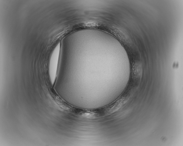 X0000093370364200711011233