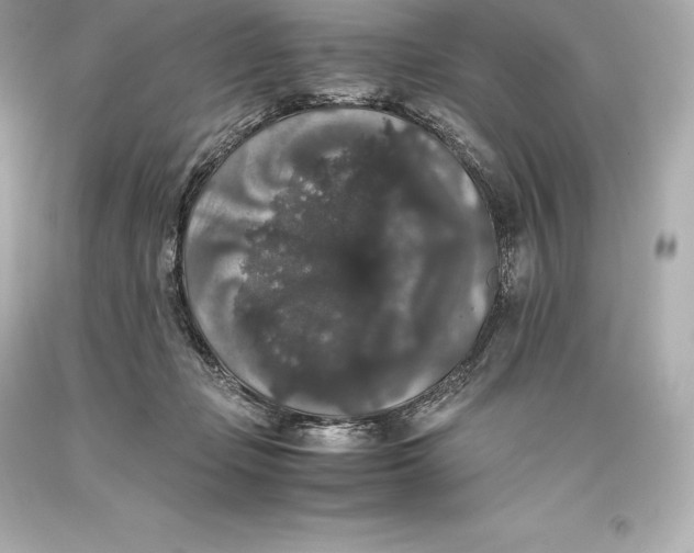 X0000093370365200711011233