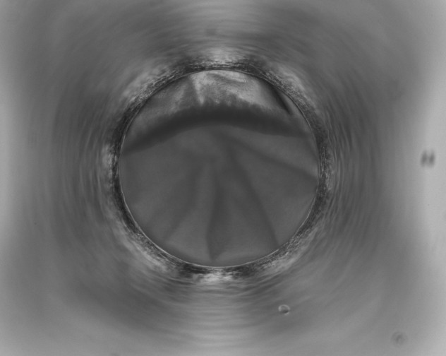 X0000093370366200711011233