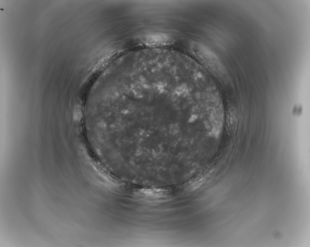 X0000093370367200711011233