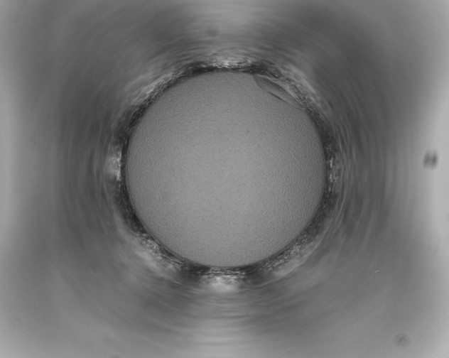 X0000093370368200711011233