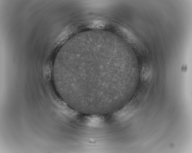 X0000093370370200711011233