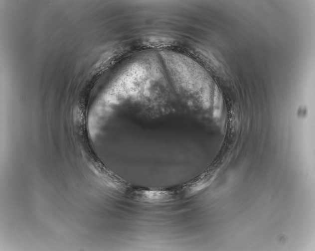 X0000093370371200711011233