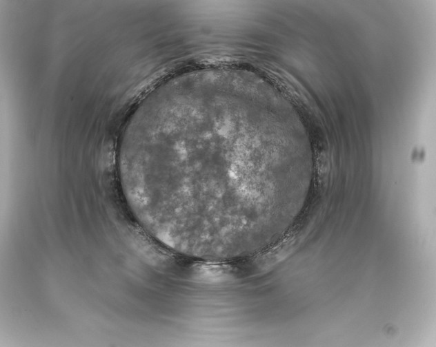 X0000093370372200711011233