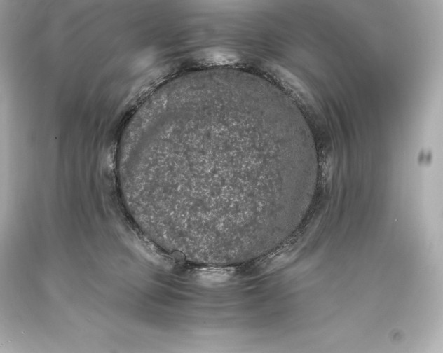 X0000093370373200711011233