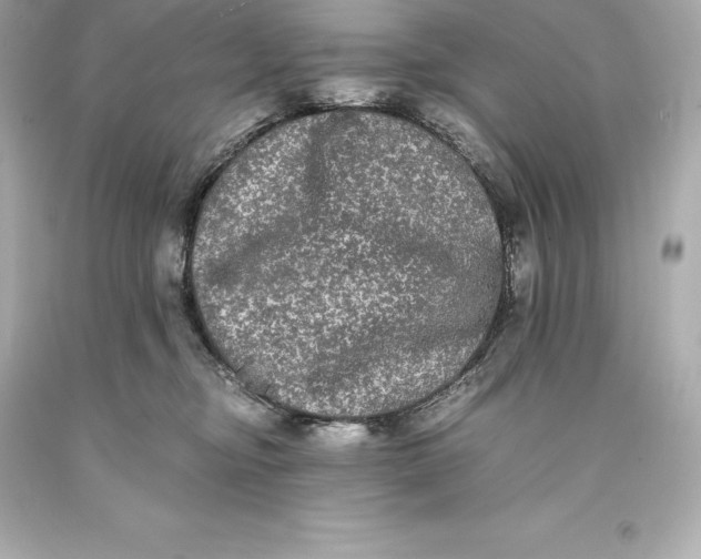 X0000093370374200711011234