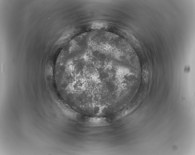 X0000093370375200711011234