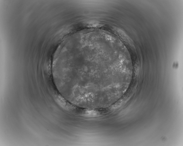 X0000093370376200711011234