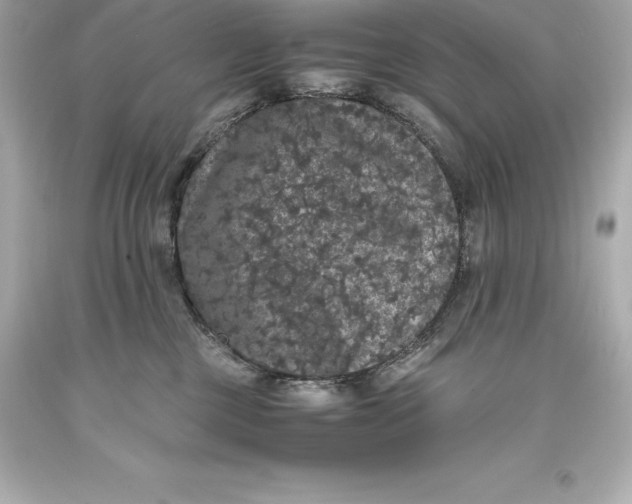 X0000093370377200711011234