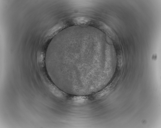 X0000093370378200711011234