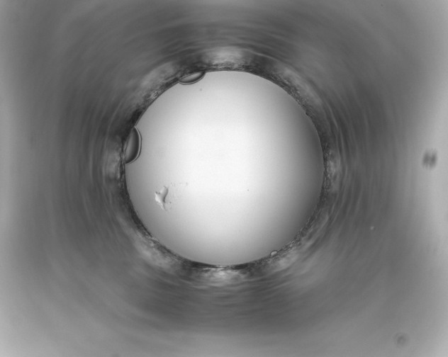 X0000093370379200711011234