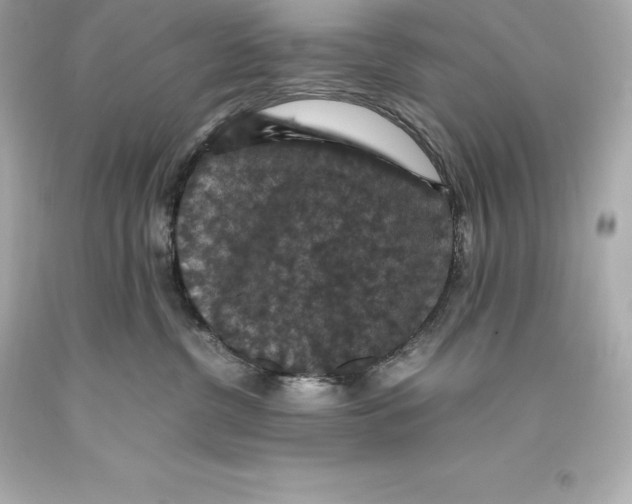 X0000093370380200711011234