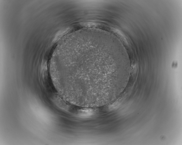 X0000093370381200711011234