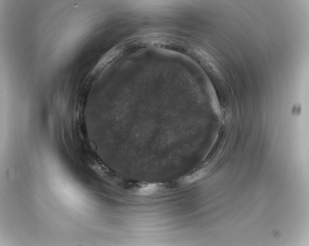 X0000093370382200711011234