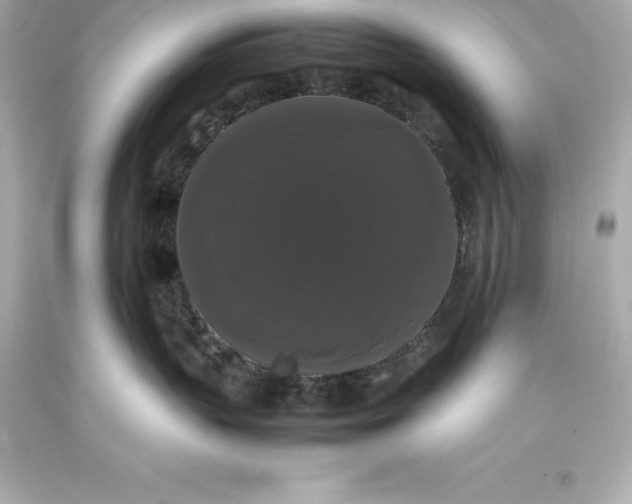 X0000093370383200711011234