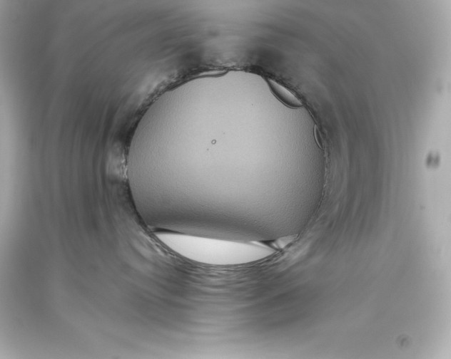 X0000093370384200711011234