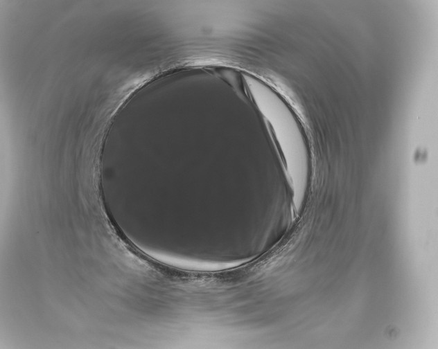 X0000093370385200711011233