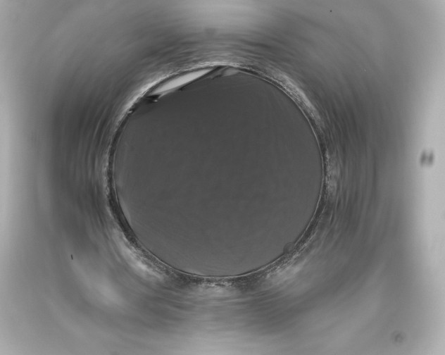 X0000093370386200711011233