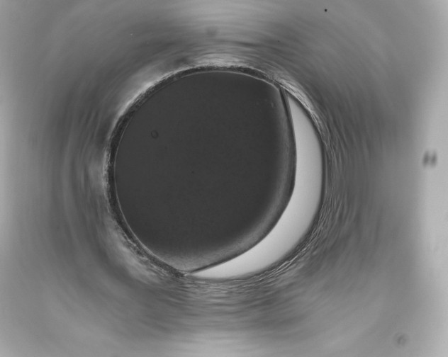 X0000093370387200711011233