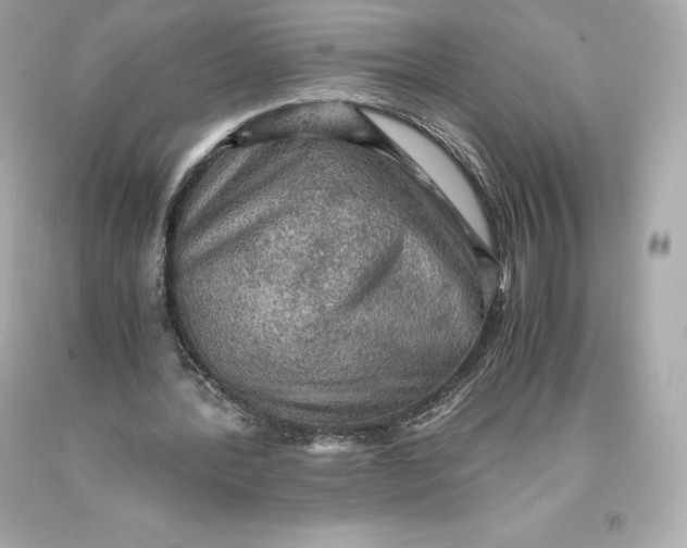 X0000093370388200711011233