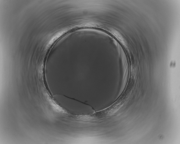 X0000093370389200711011233