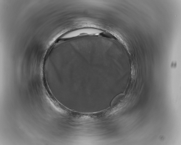 X0000093370390200711011233