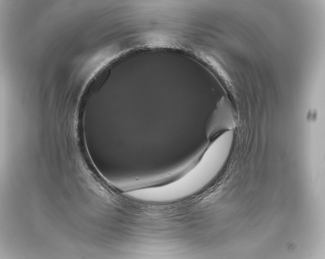 X0000093370391200711011233