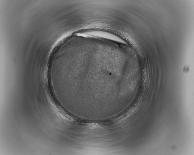 X0000093370392200711011233