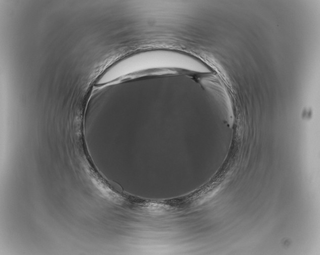 X0000093370393200711011233