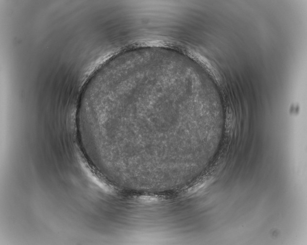 X0000093370394200711011233