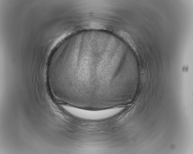 X0000093370395200711011233