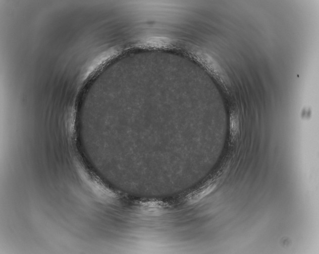 X0000093370396200711011233