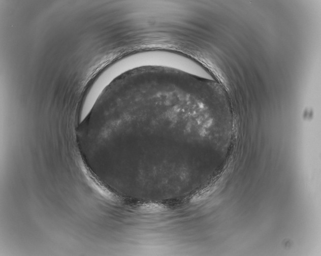 X0000093370397200711011233