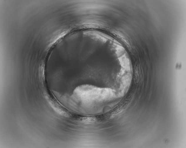 X0000093370398200711011233