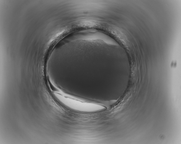 X0000093370399200711011233