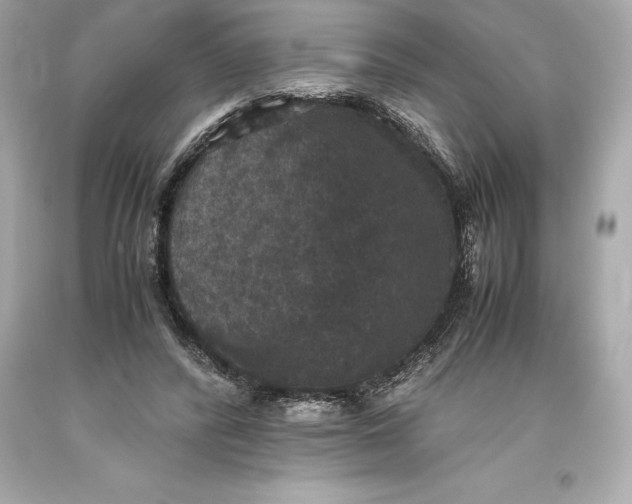 X0000093370400200711011233