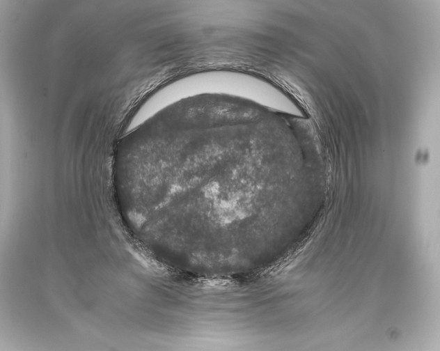 X0000093370401200711011233