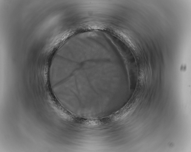 X0000093370402200711011233