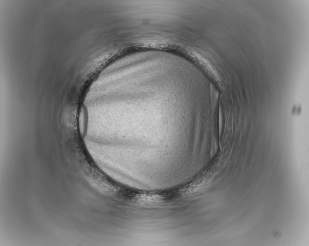 X0000093370403200711011233