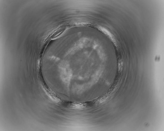 X0000093370405200711011233