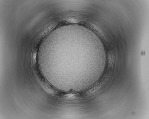 X0000093370406200711011233