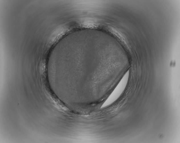 X0000093370407200711011233