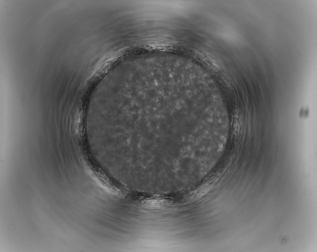 X0000093370408200711011233